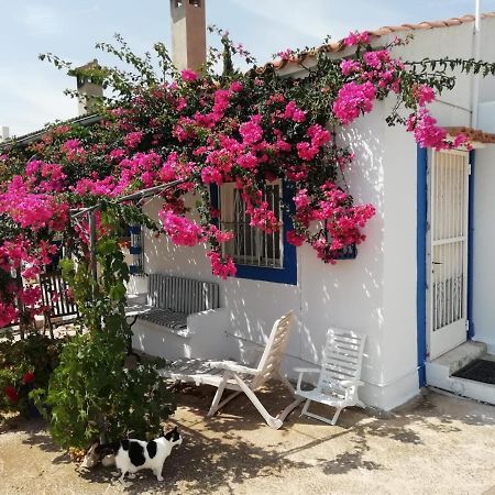 Finca La Joya Torreblanca Exterior photo